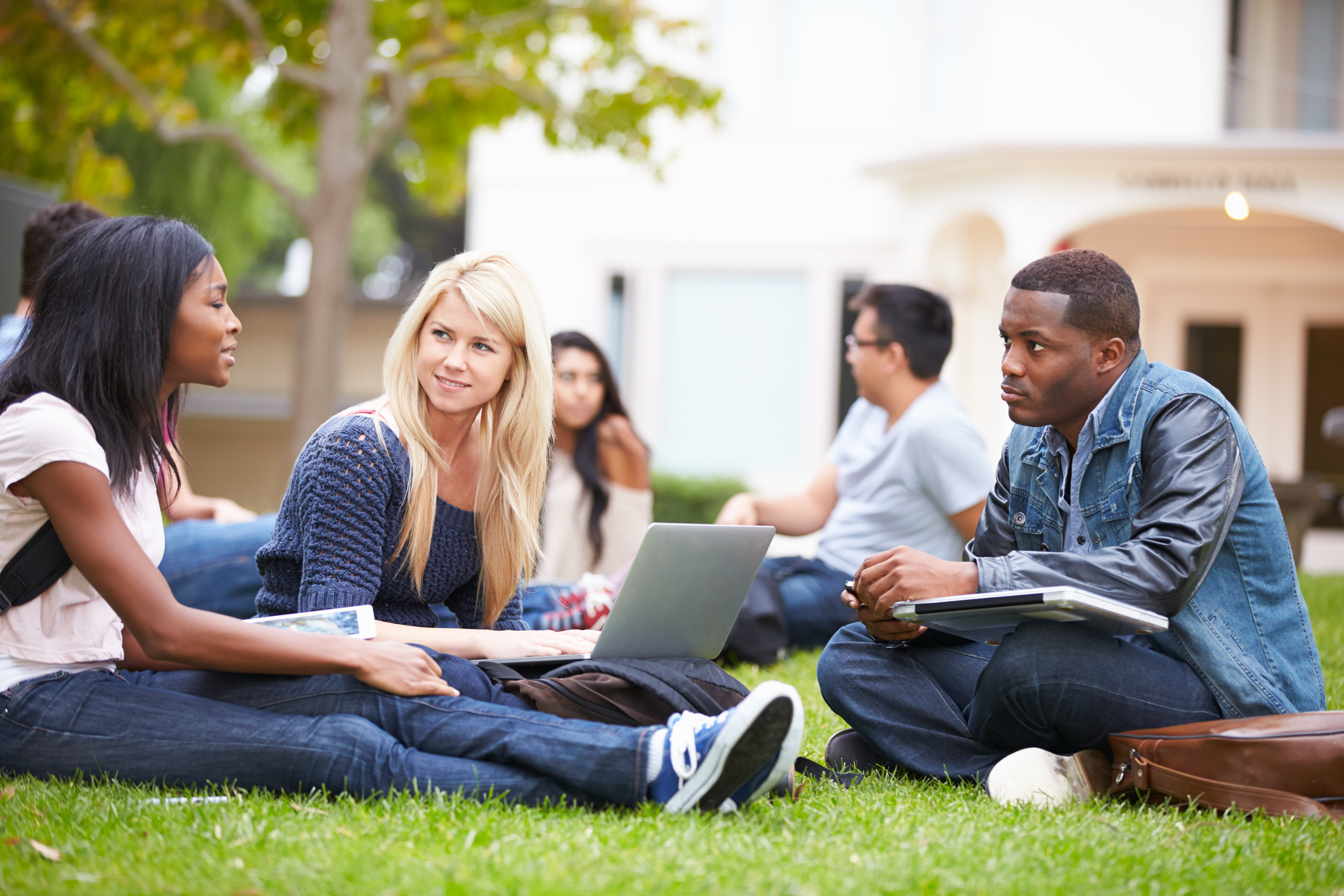 Group of college students studying outside.
